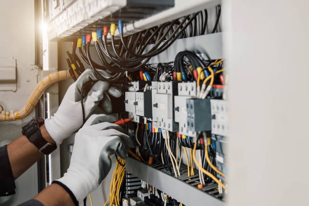 Best Electric Panel Repair  in Lewisburg, TN
